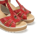 D9701-AL ALFA ROJO-5
