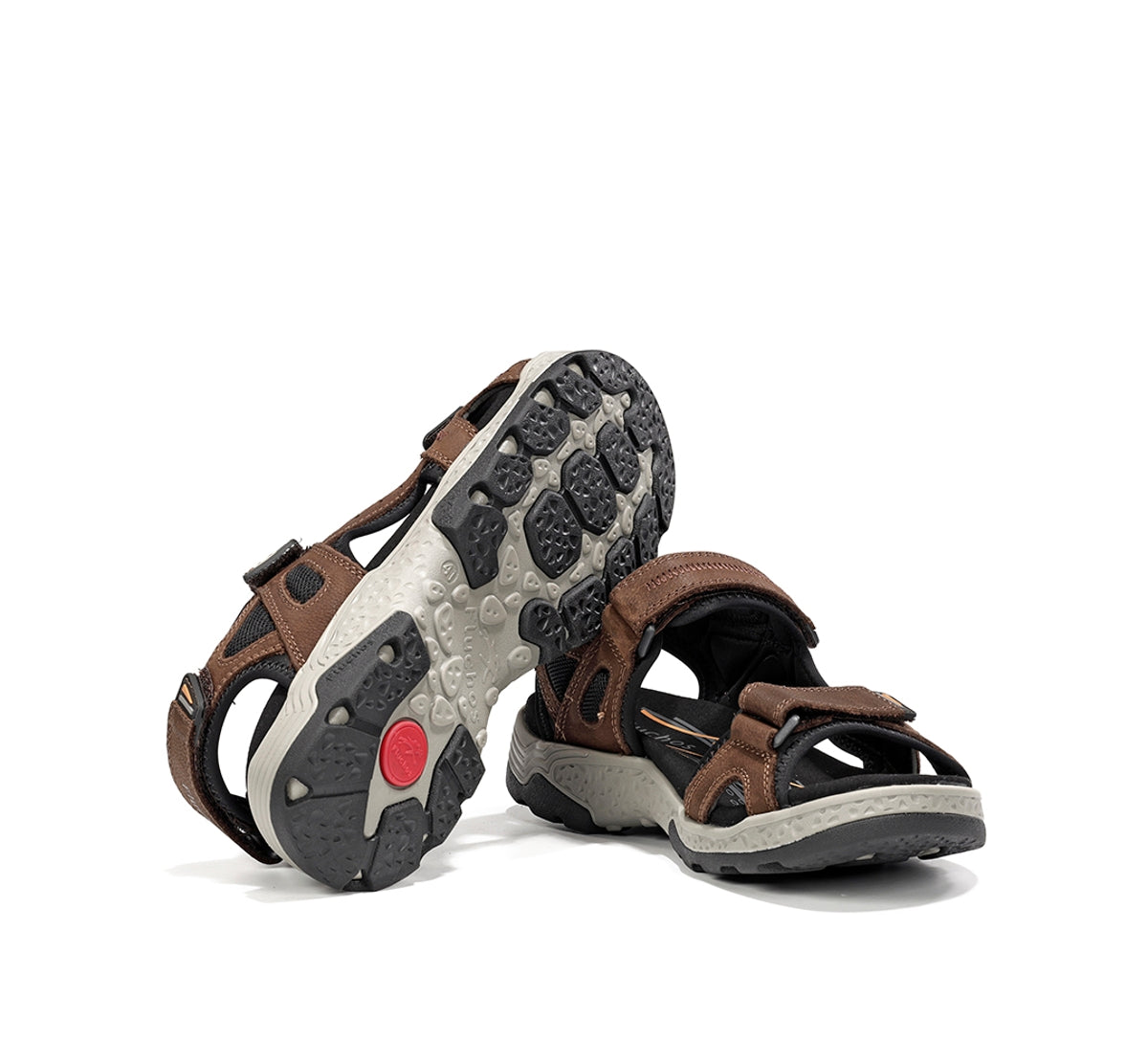 F2410 VEGABUCK CAFE-5