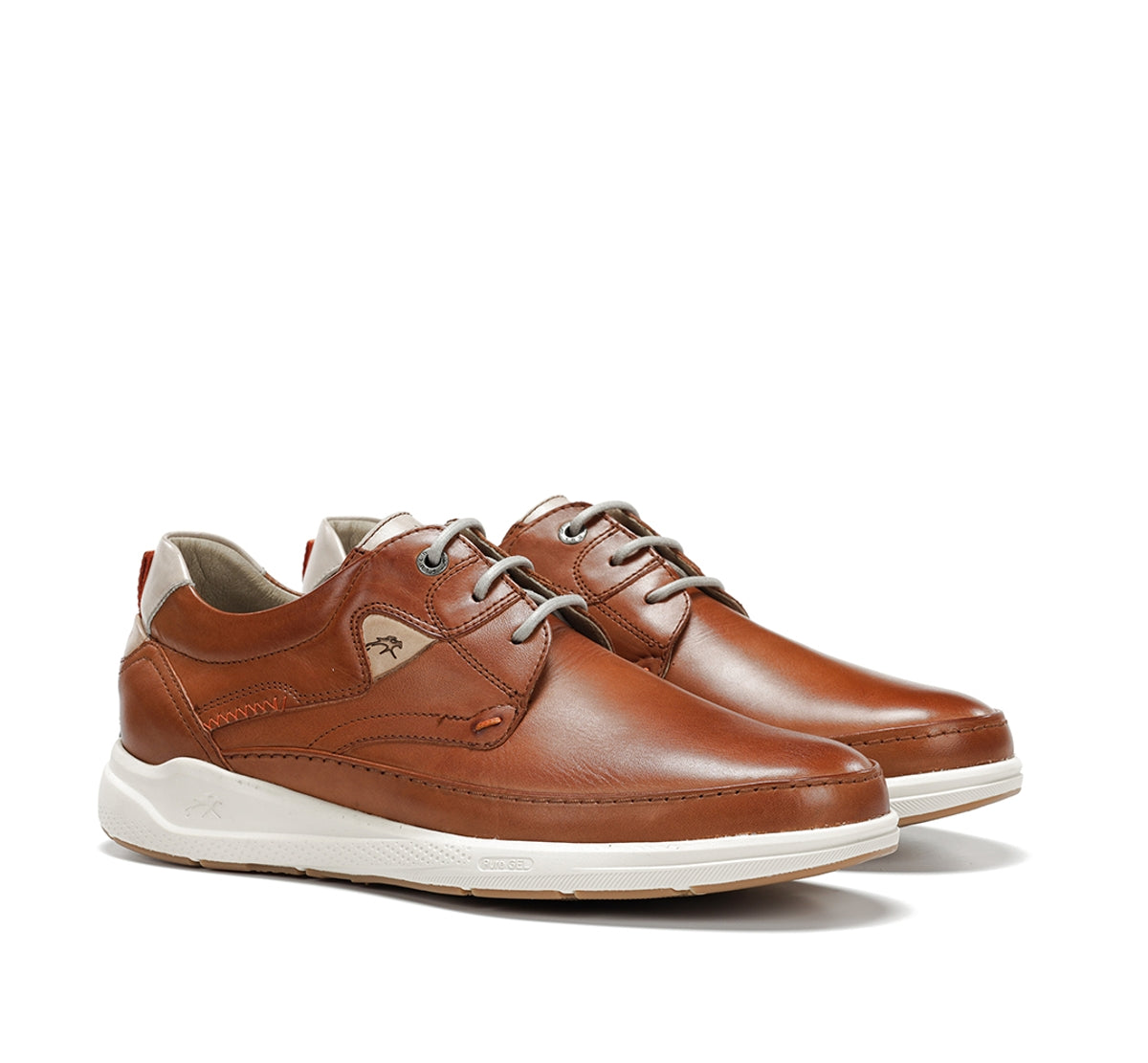 F2443 HABANA CUERO+COM.1-1