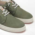 F2366 VEGABUCK VERDIAL+COM.4-5