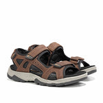 F2410 VEGABUCK CAFE-1