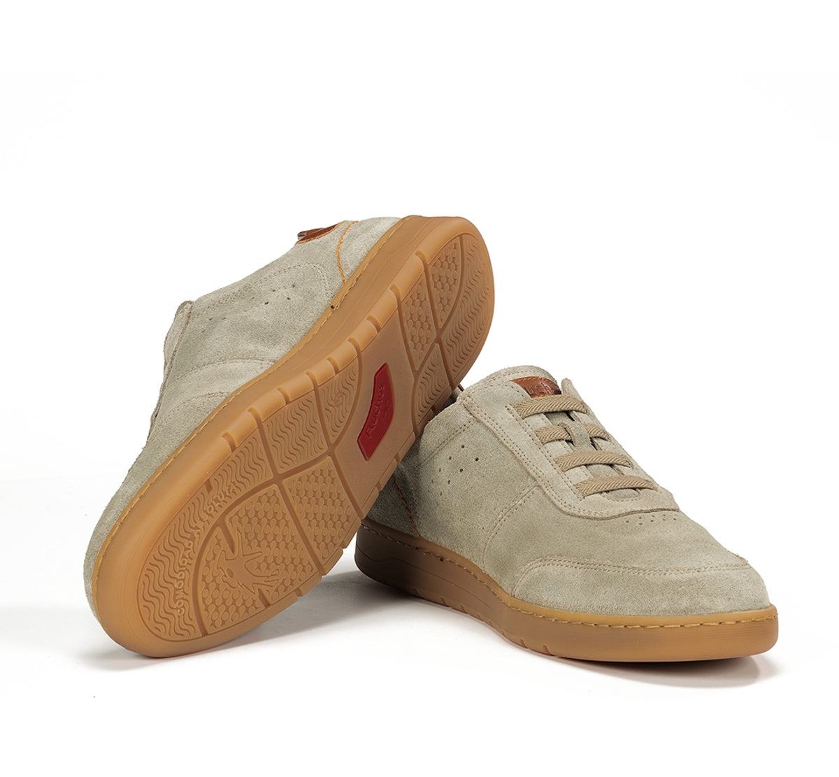 F1723 VITELLINI TORTORA+COM.6-3