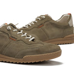 F2383 DELBUCK TORTORA+COM.3-6