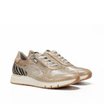 D9556LGSEC LAGUN.PLATINO C3 PLATINO C3-1