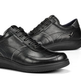 F2331 SUGAR NEGRO+COM.2-5