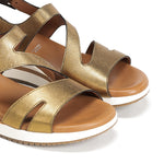 D9688-CS COSMOS BRONCE-5