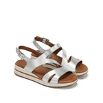 D9688-CS COSMOS SILVER-3