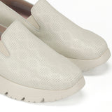 F1926 SUGAR HIELO-5