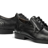 F2488 HABANA NEGRO+COM.2-6