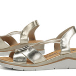 F2429 LAMINADO PLATINO-6