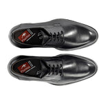 F2488 HABANA NEGRO+COM.2-4