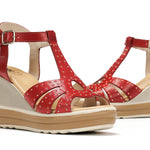 D9701-AL ALFA ROJO-6