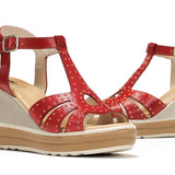 D9701-AL ALFA ROJO-6
