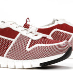 D8762-ELJZ ELASTIC TERRA-6