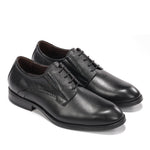 F2488W HABANA NEGRO+COM.2-3