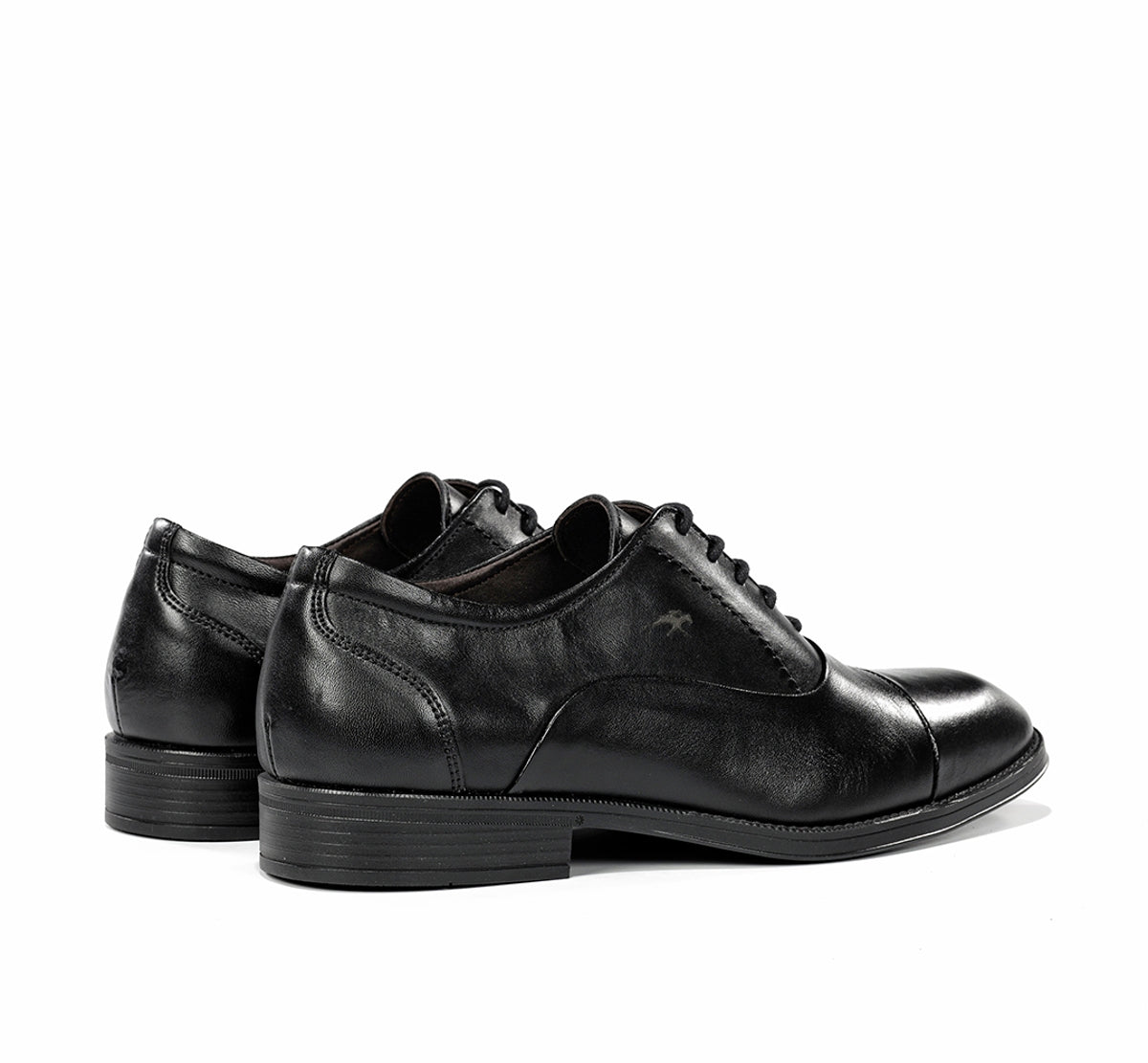 F2487 HABANA NEGRO+COM.2-2