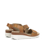 F2137 HABANA DORE-2
