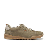 F2383 DELBUCK TORTORA+COM.3-0