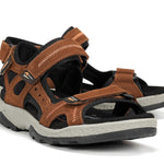 F2411 VEGABUCK LIBANO-6