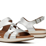 D9688-CS COSMOS SILVER-6