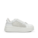 D9522-SP SPIN BLANCO-0