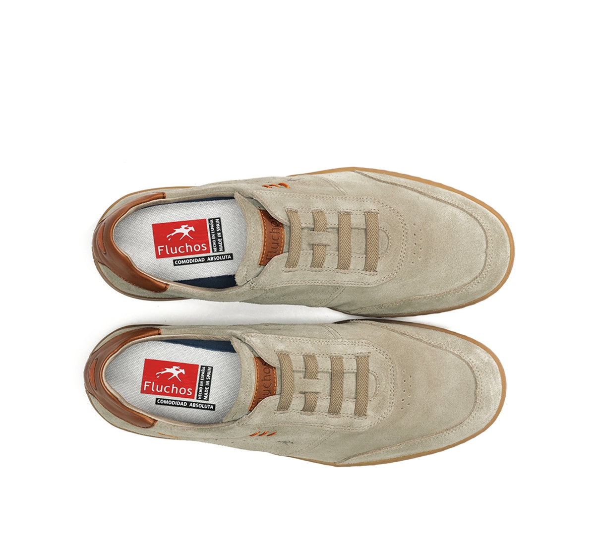 F1723 VITELLINI TORTORA+COM.6-4