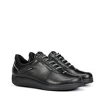 F2335 SUGAR NEGRO+COM.3-1