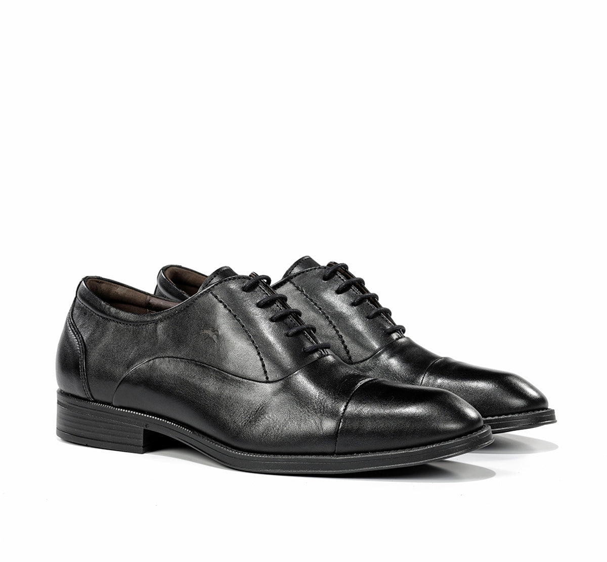 F2487 HABANA NEGRO+COM.2-1