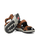 F2411 VEGABUCK LIBANO-3