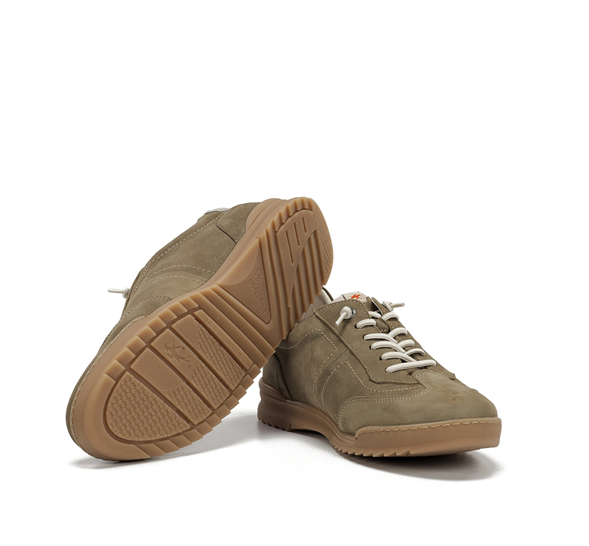 F2383 DELBUCK TORTORA+COM.3-3